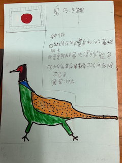 Childlike drawing of a colorful pheasant on paper with handwritten notes and a small flag sketch