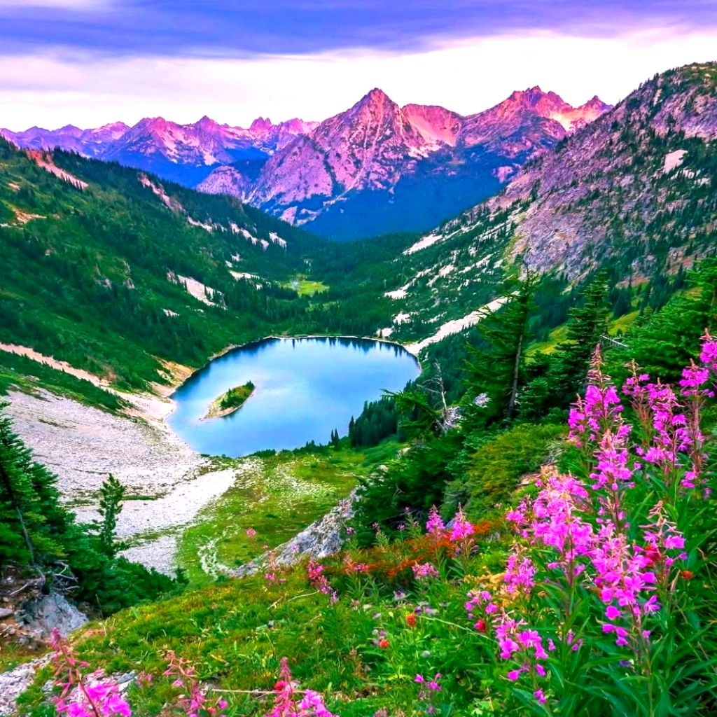 Alpine mountain valley with a blue lake, pine trees, and pink wildflowers in the foreground