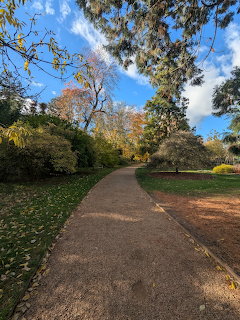 Gravel path through botanical gardens with autumn trees and green lawns under a partly cloudy blue sky