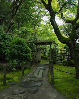 Moss-covered Japanese garden with traditional wooden gate and stone path under green tree canopy
