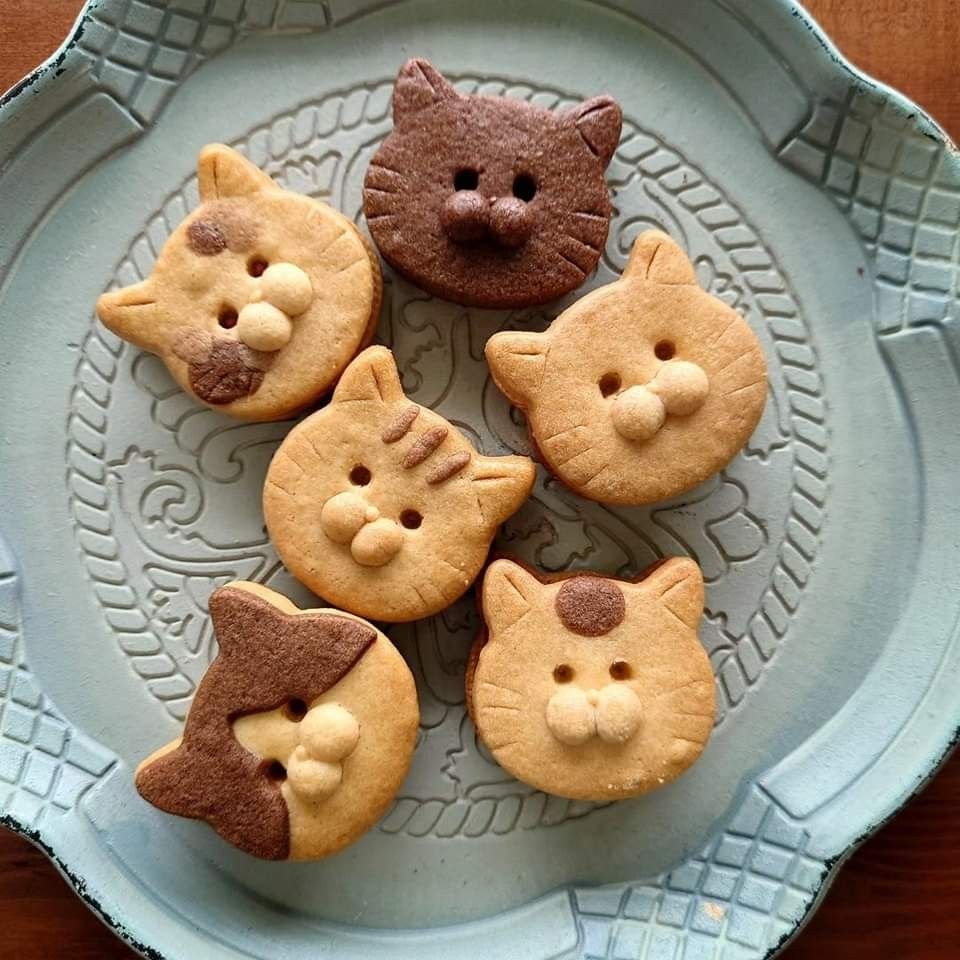 Six cat-shaped cookies with faces arranged on a decorative plate
