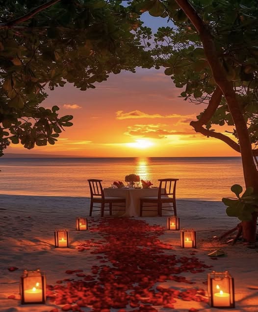 Romantic candlelit dinner table on beach at sunset with ocean view and hanging trees
