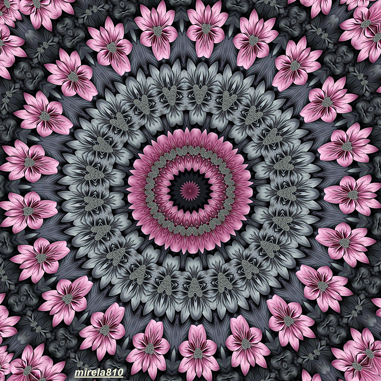 Symmetrical mandala with pink flowers in circular pattern on dark background