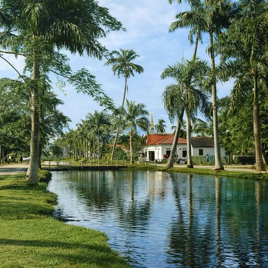 White colonial house with orange roof next to palm-lined canal and green lawn under blue sky