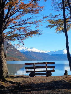 Ushuaia Lake Bench Landscape
