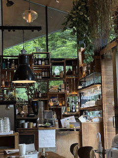 Rustic cafe interior with wooden shelves, pendant lights, plants, and large windows facing trees