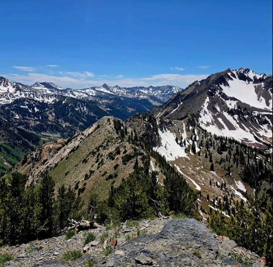 Mt Superior Mountain View