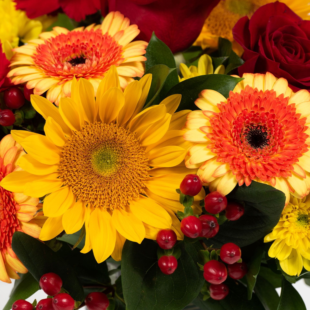 Colorful flower bouquet with sunflowers, gerbera daisies, red roses, and berries