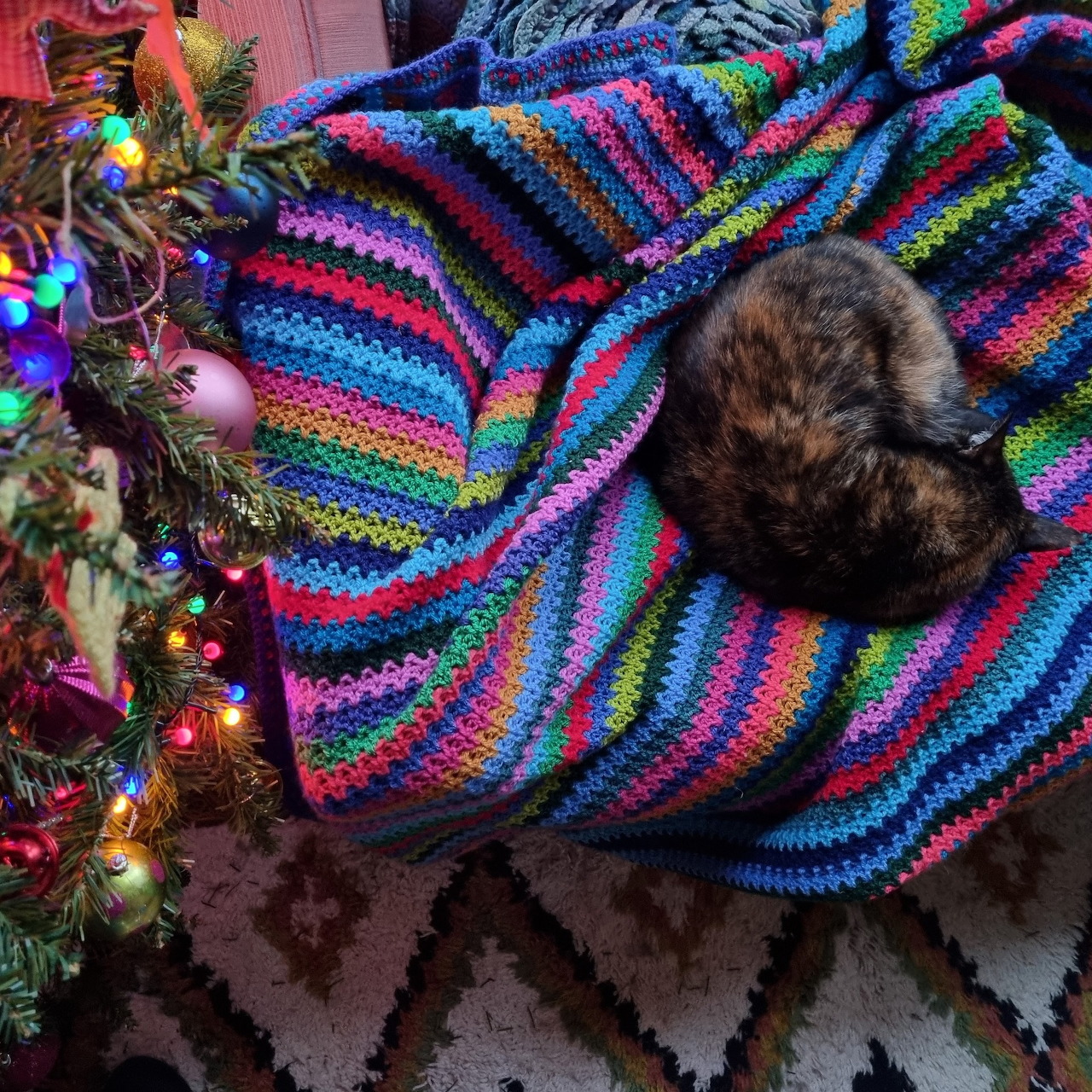 Tortoiseshell cat lying on multicolored striped crochet blanket near Christmas tree
