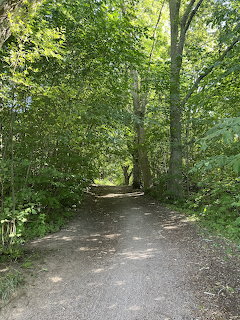 Gravel path leading through a dense green forest with sunlight filtering through the tree canopy