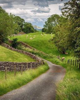 North Yorkshire Country Lane