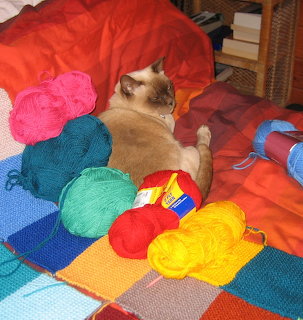 Cat sitting on colorful quilt with balls of yarn in pink, blue, green, red, and yellow