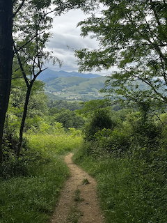 Voie de Vezelay Camino Trail
