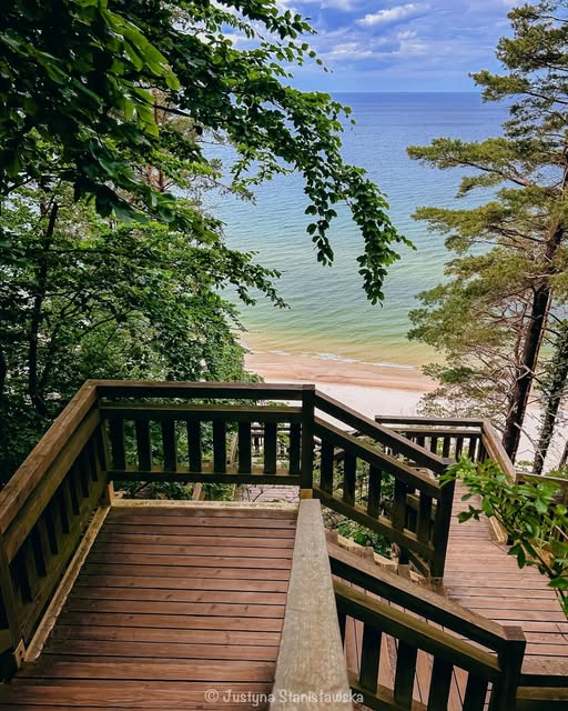 Wooden deck with railing overlooking calm ocean beach surrounded by leafy trees