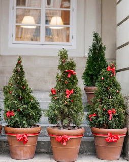 Three potted evergreen topiary trees with red bows on outdoor stone steps near a window.