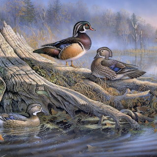 Three wood ducks beside a fallen log in a misty marsh painting