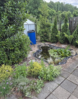 Small garden pond with plants, stones, and paving surrounded by greenery