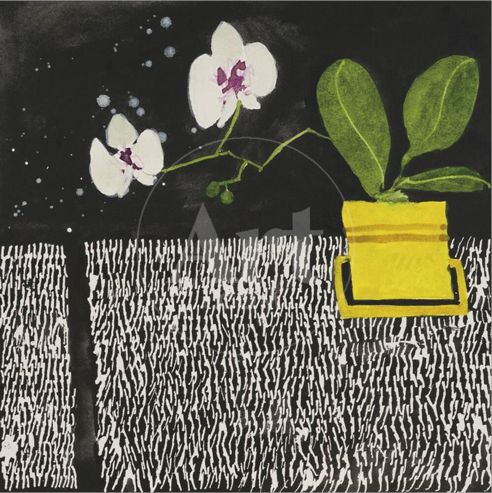 Abstract floral painting of a white orchid and green leaves in a yellow pot on a black background