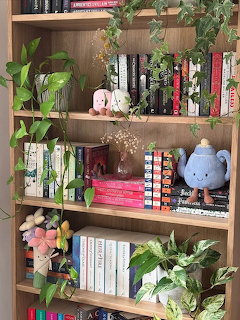 Decorated Bookshelf with Plants