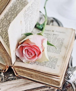A pink rose lying on the open pages of an old book with yellowed pages