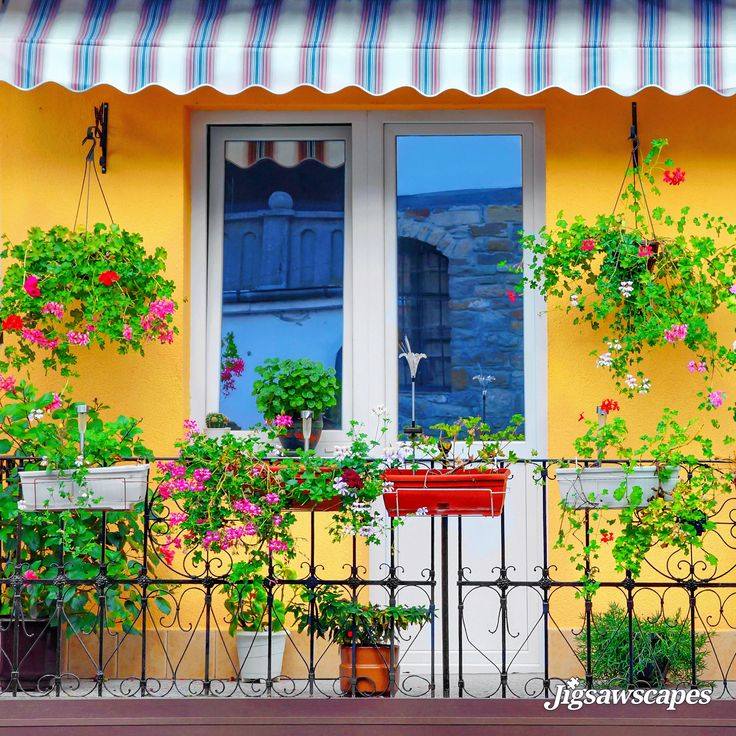 Colorful Balconi with Flowers