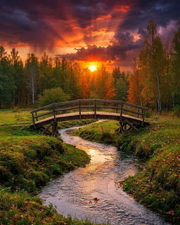 Wooden bridge over stream at sunset with forest and dramatic sky