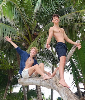 Two shirtless young men climbing and posing on a palm tree with tropical foliage behind them