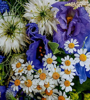 Close-up of white daisies and purple iris flowers with green foliage