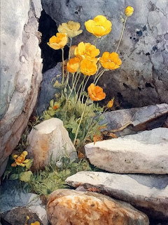 Watercolor of yellow and orange buttercups growing between gray rocks