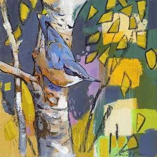 Nuthatch on Birch Tree