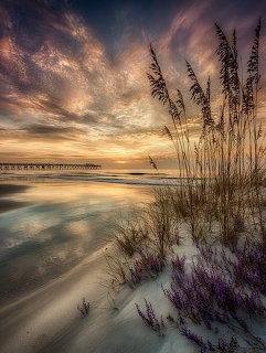 Beach sunset with sea oats in foreground, dramatic cloudy sky, and ocean with distant pier