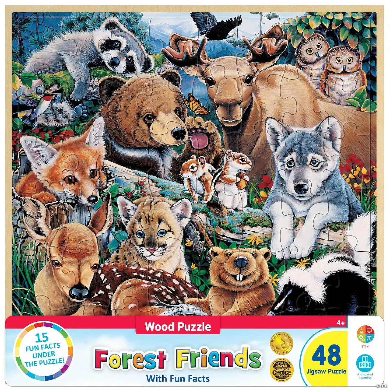Illustration of forest animals including a bear, deer, fox, raccoon, wolves, owls, rabbits, and skunks