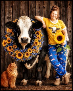 Woman in yellow shirt standing with a decorated cow wearing a sunflower wreath and an orange cat