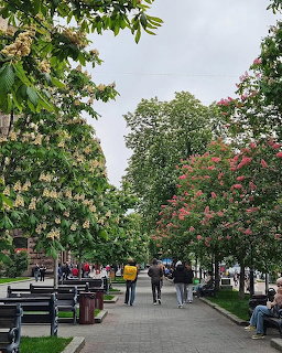 People walking on a paved path in a leafy city park with benches and blooming trees