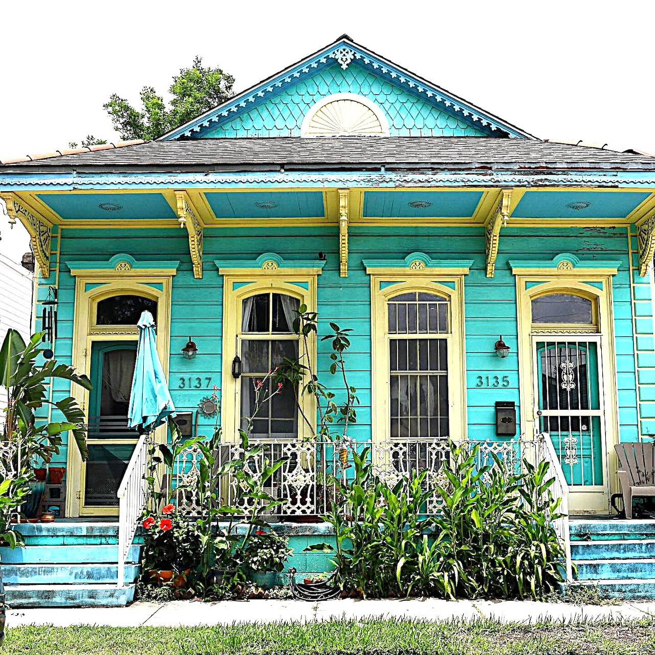 Blue Green House