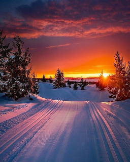 Winter Sunset Snow Landscape