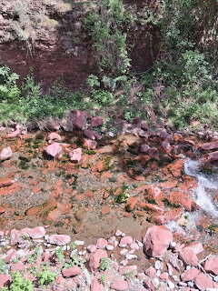 Small stream flowing over red and orange rocks surrounded by green vegetation and rocky cliff