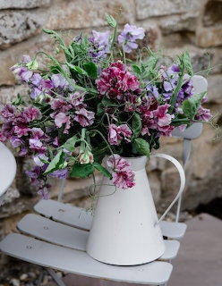 Pink and purple sweet peas in a white enamel pitcher on a white metal chair against a stone wall