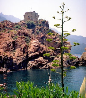 Stone tower on red rocky cliff above turquoise sea with agave plant in foreground