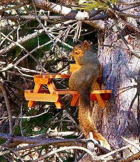 Squirrel on a small picnic table attached to a tree among snow-covered branches