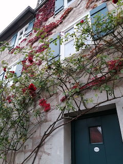 Stone building facade covered with red and green climbing vines above a dark green door