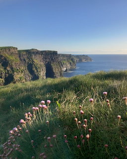 Green cliffs overlooking the ocean with pink wildflowers in the foreground under blue sky