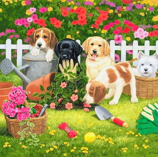Playful Pups Yard