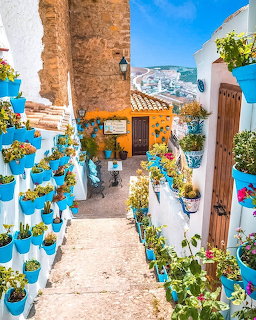 Narrow alley with white walls lined with blue flower pots and green plants in a sunny Spanish village