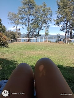 Relaxing by the Lake