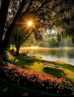 Sunny Park by Lake