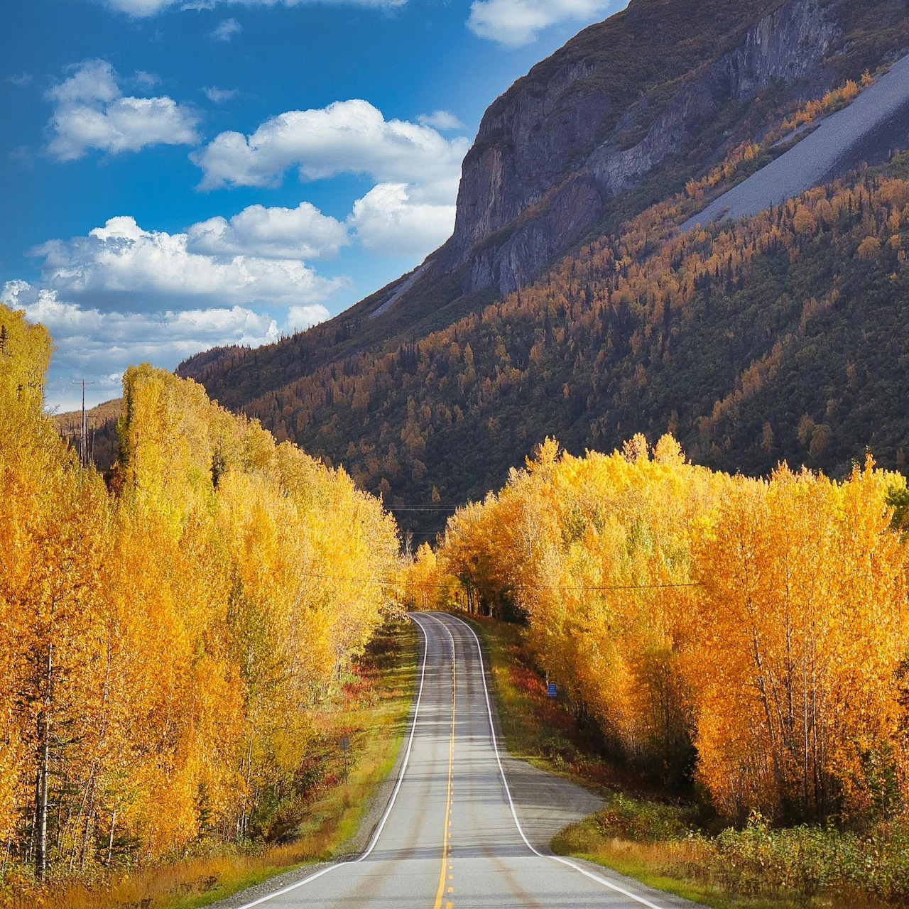 Road through golden aspen trees in autumn with mountain backdrop