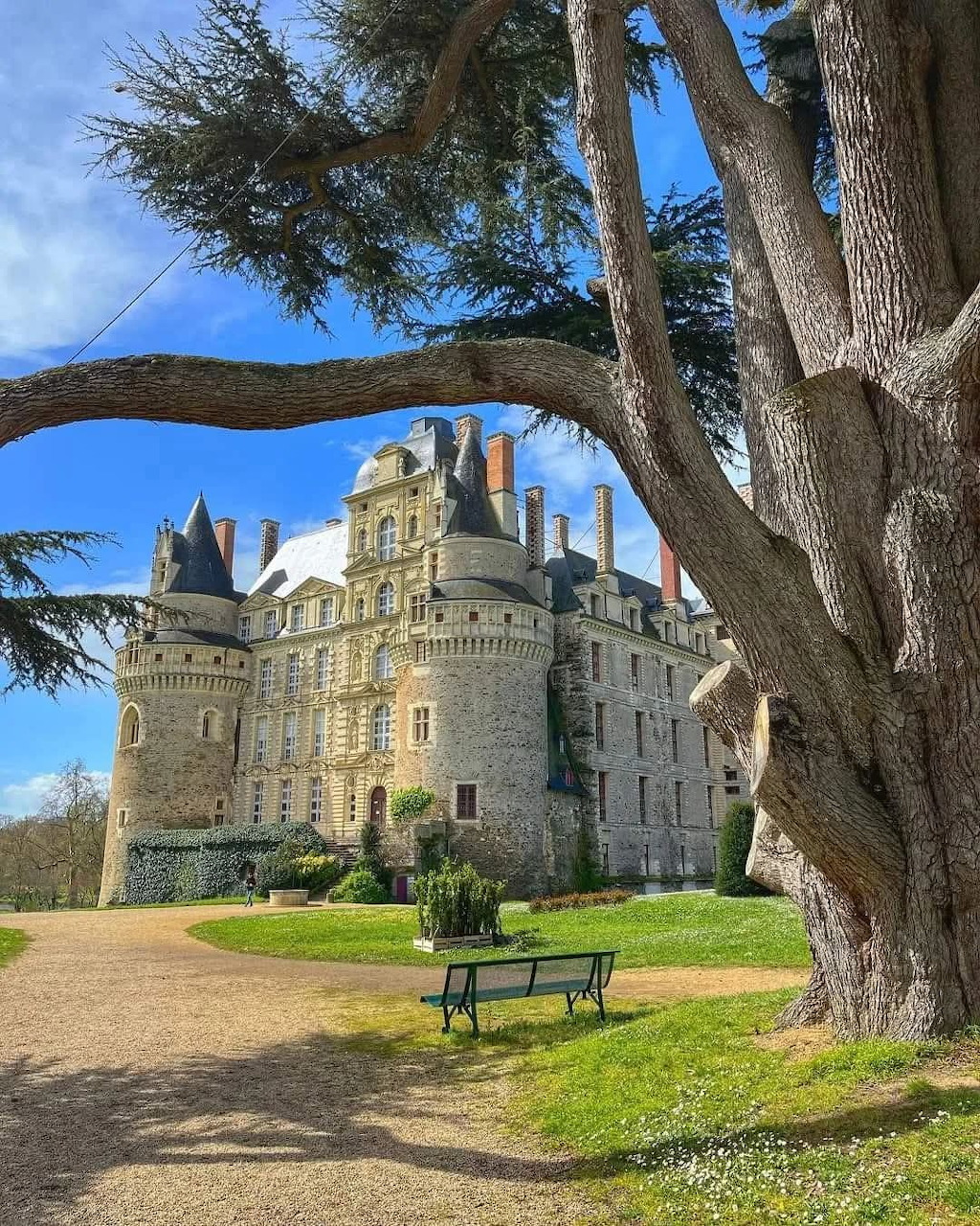 Château de Brissac