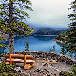 Mountain Lake Overlook Bench