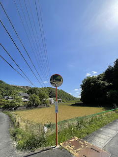 Convex roadside mirror beside fields and trees under a blue sky with power lines overhead.